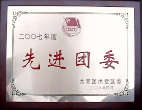 2007年度拱墅区先进团委